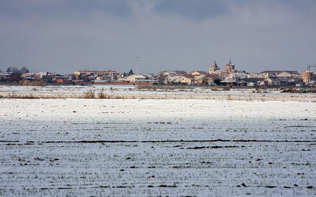 ¿Cómo debe ser una web de un ilustrador?