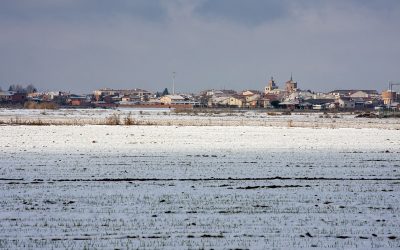 ¿Cómo debe ser una web de un ilustrador?